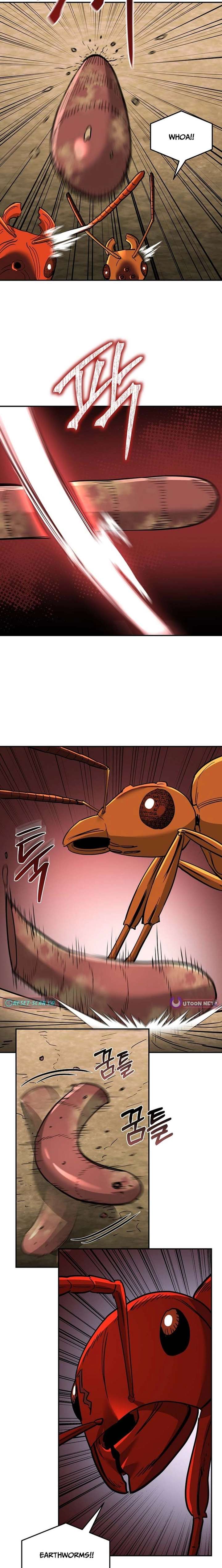 ch 24 16
