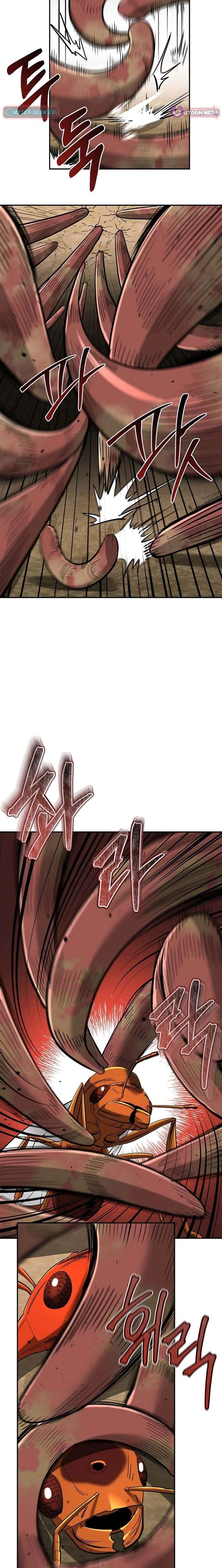 ch 24 19