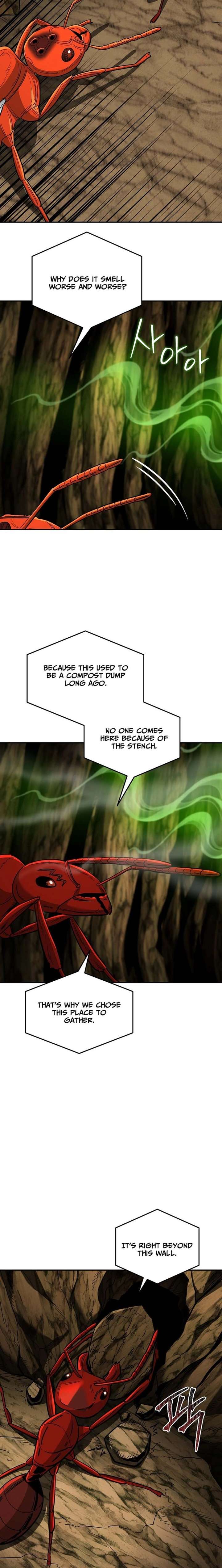 ch 24 22