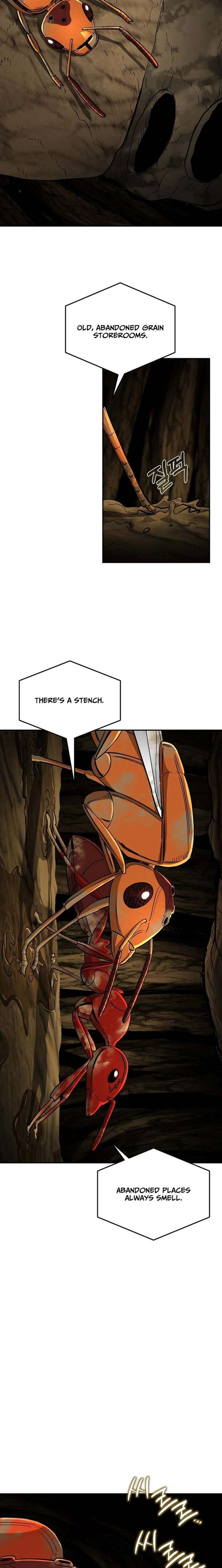 ch 24 4