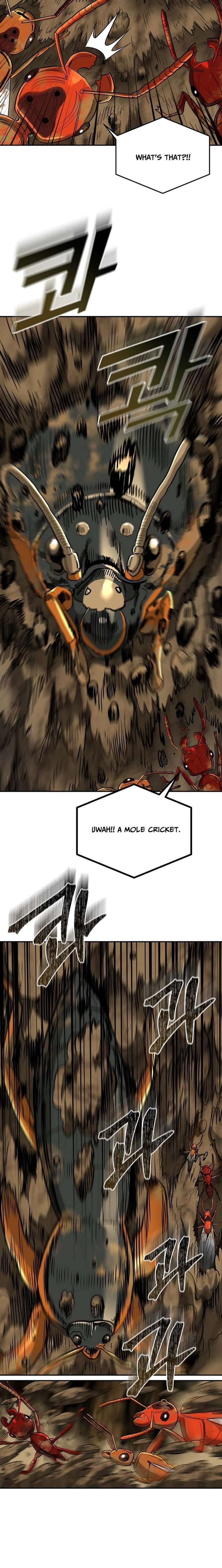ch 24 7