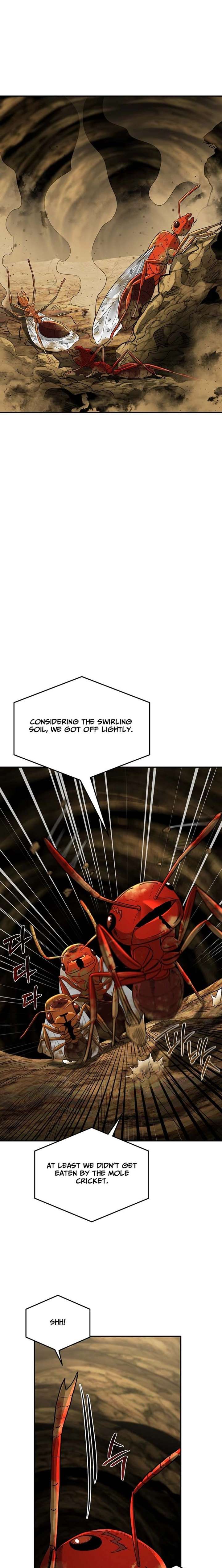 ch 24 9
