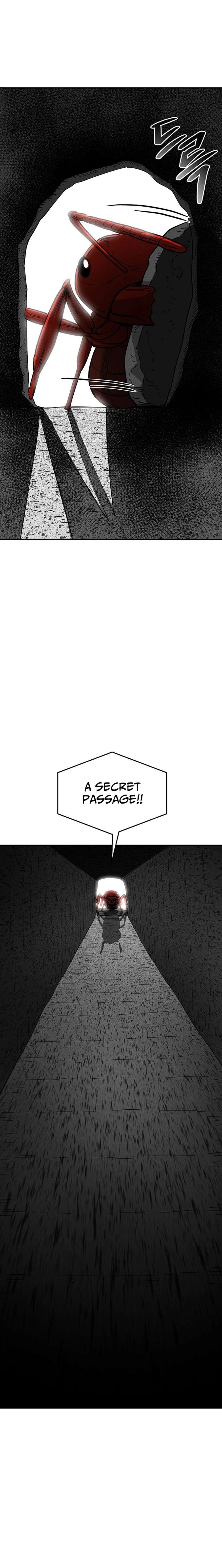 ch 25 13