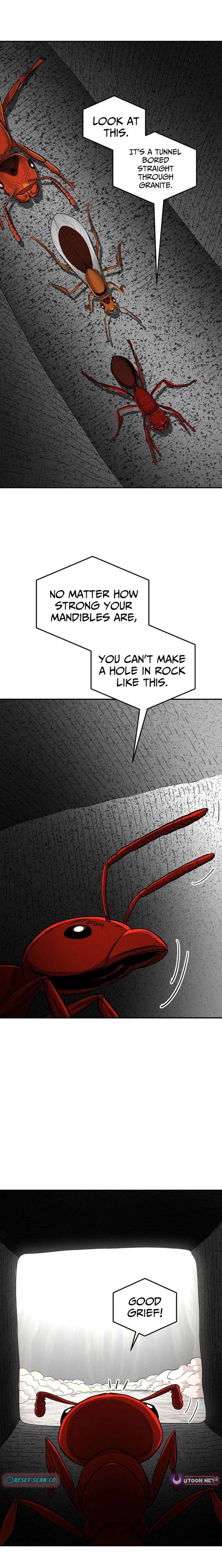 ch 25 14
