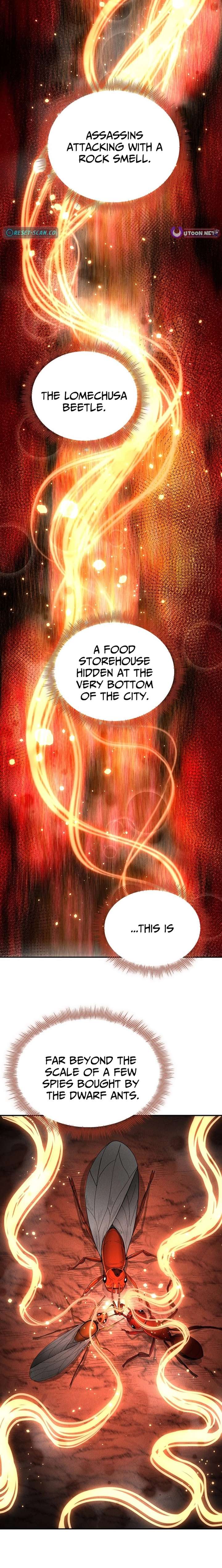 ch 25 20