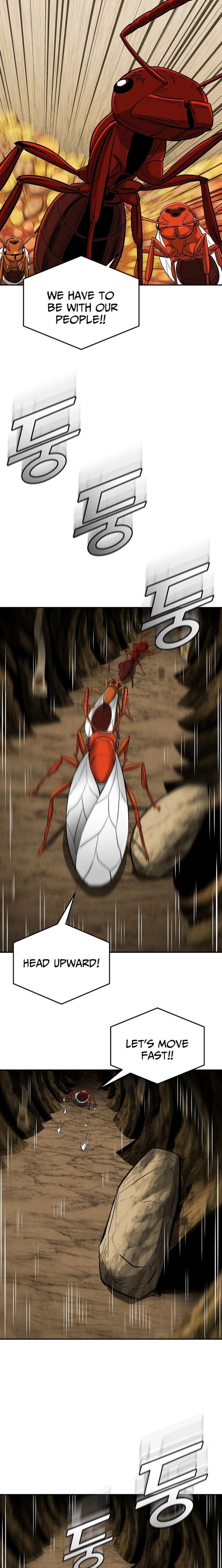 ch 25 23