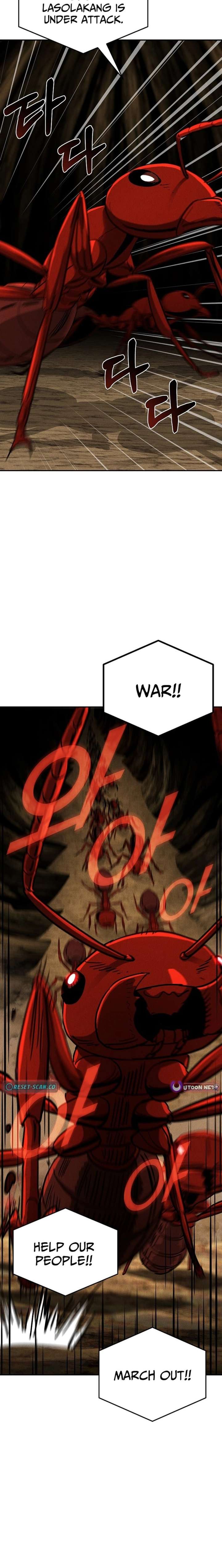 ch 25 26