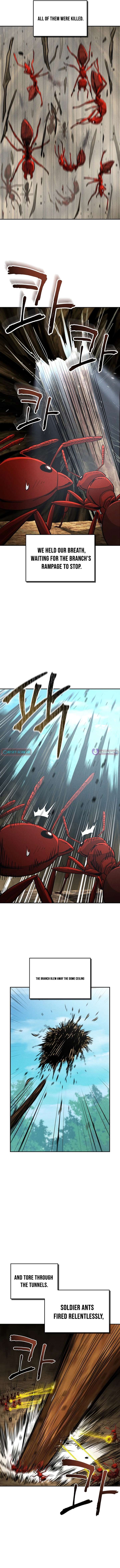 ch 26 2