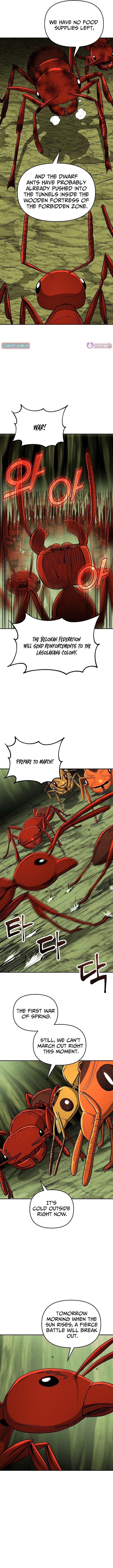 ch 26 5