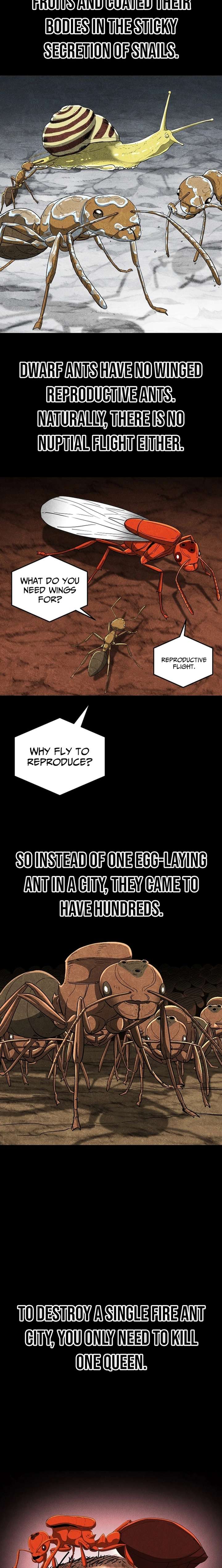 ch 27 23