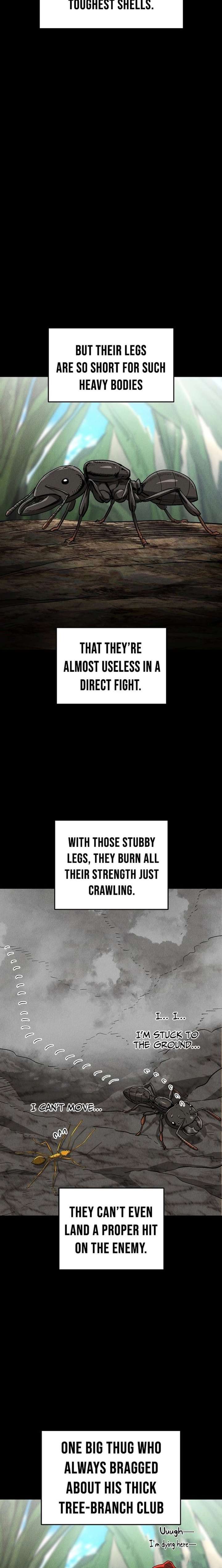 ch 28 17