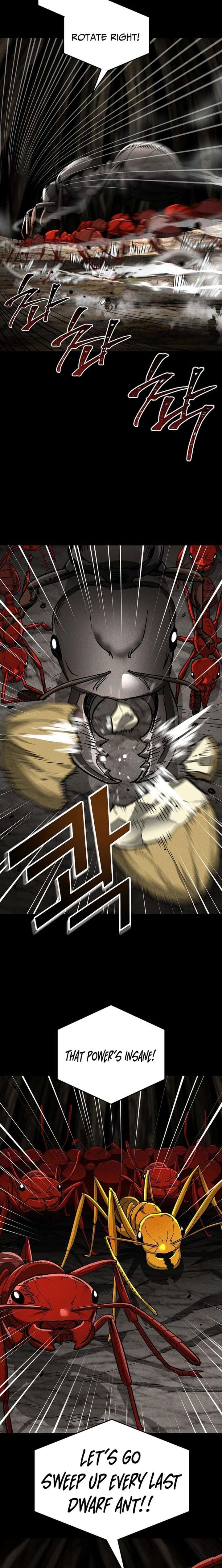 ch 28 19