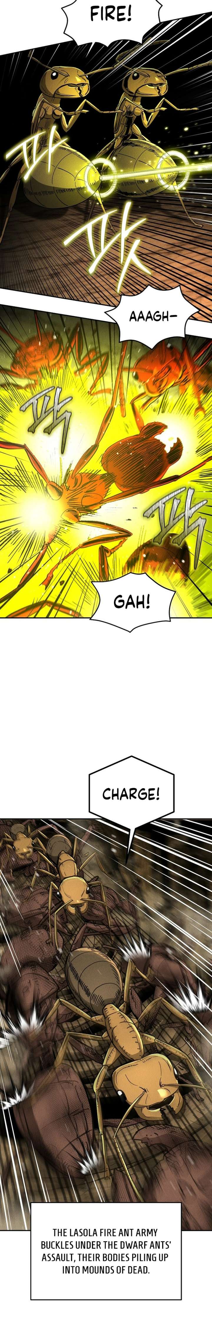 ch 29 4