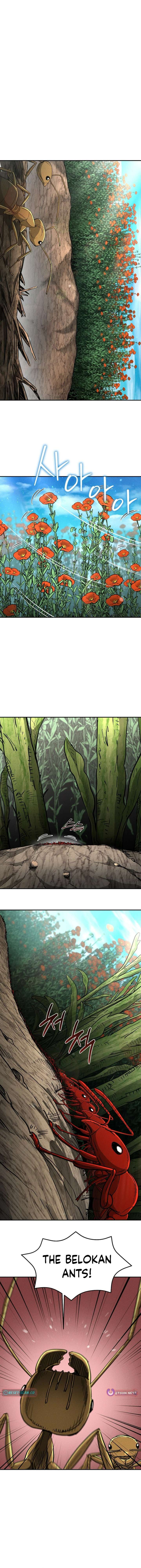 ch 29 9