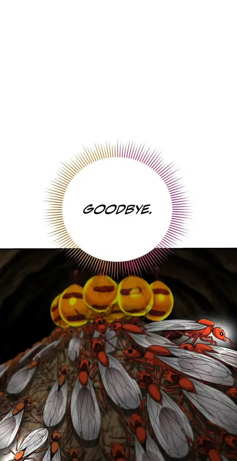 4ce8d64c5c22