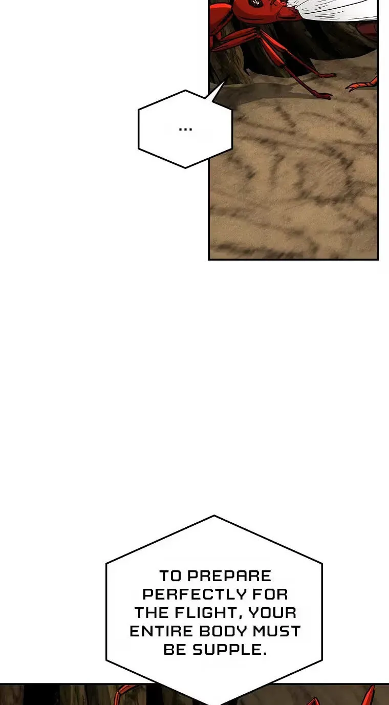c8439e676653