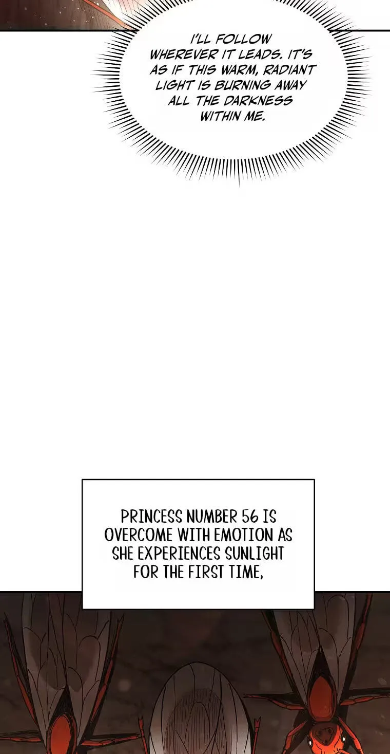 d4741b2bb338