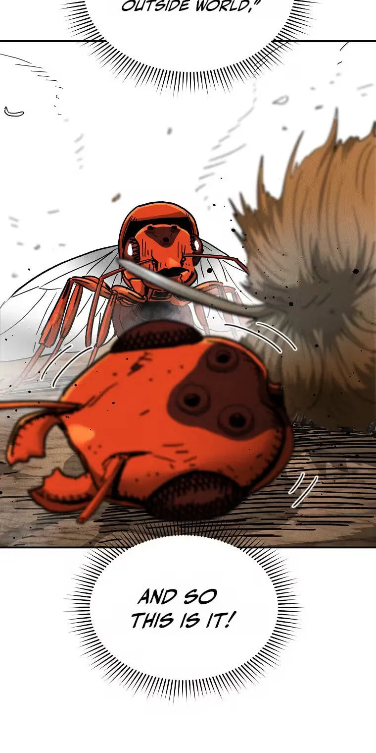 9ddce42e7eec