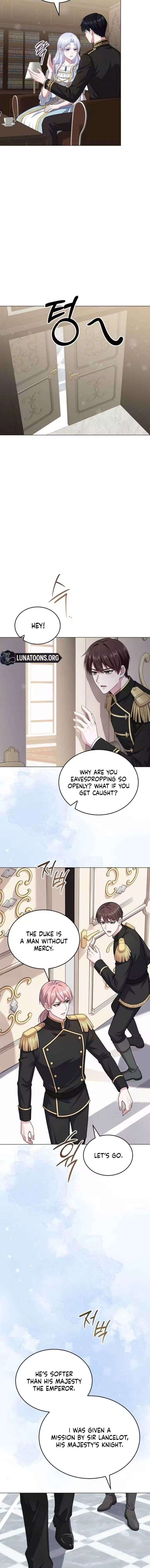 ch 19 11