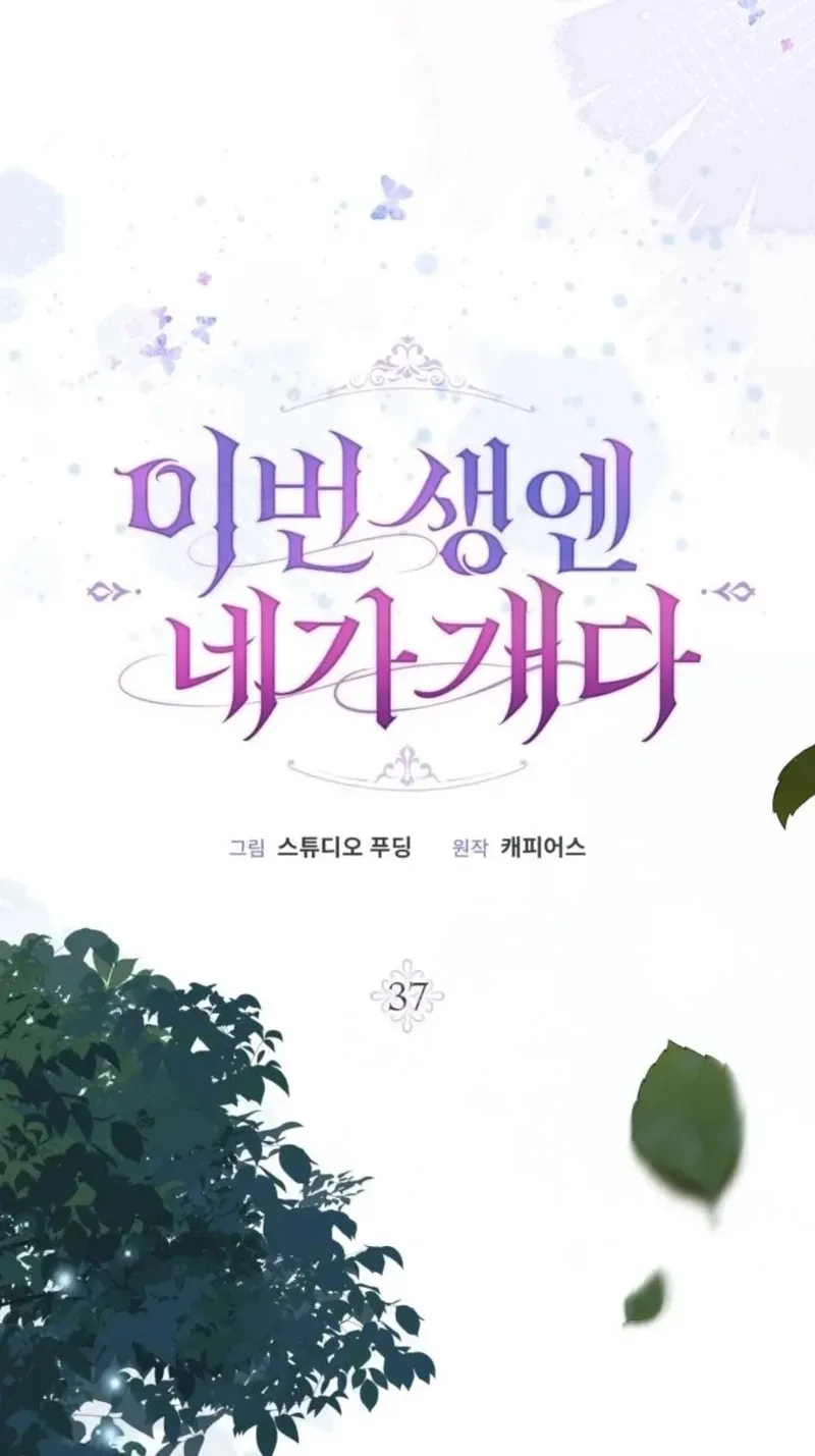14 webp