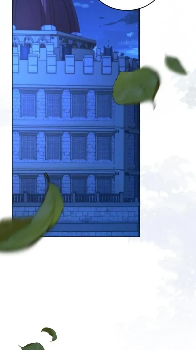 16 webp
