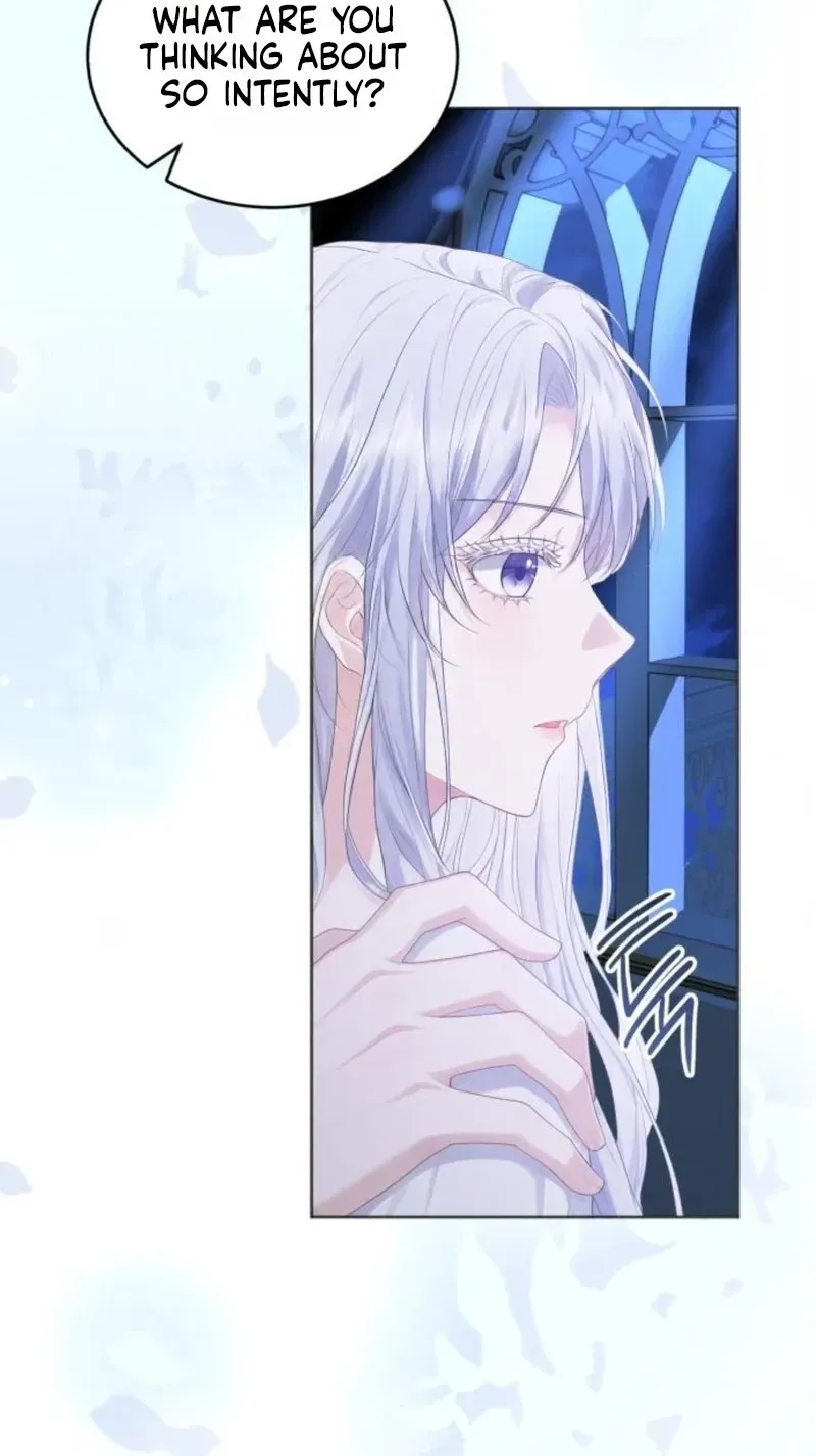 8 webp