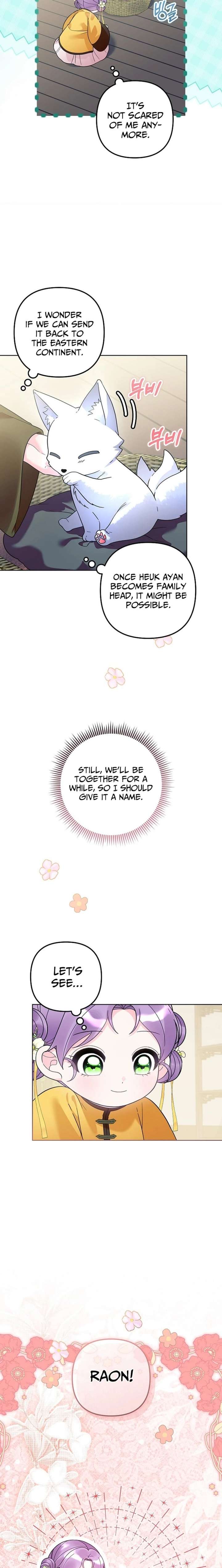 ch 41 11