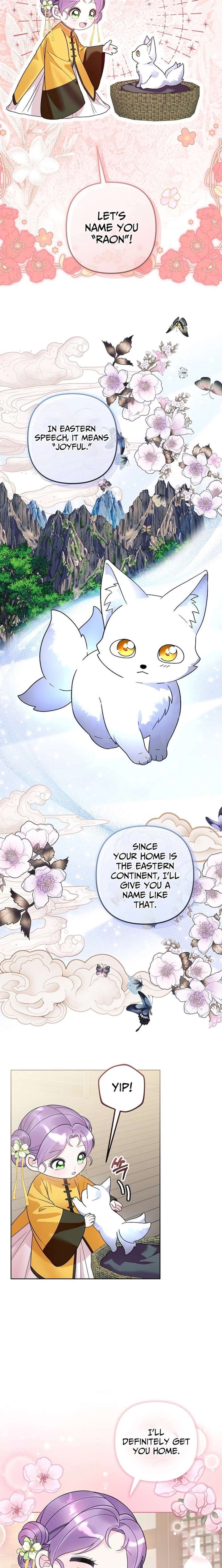 ch 41 12