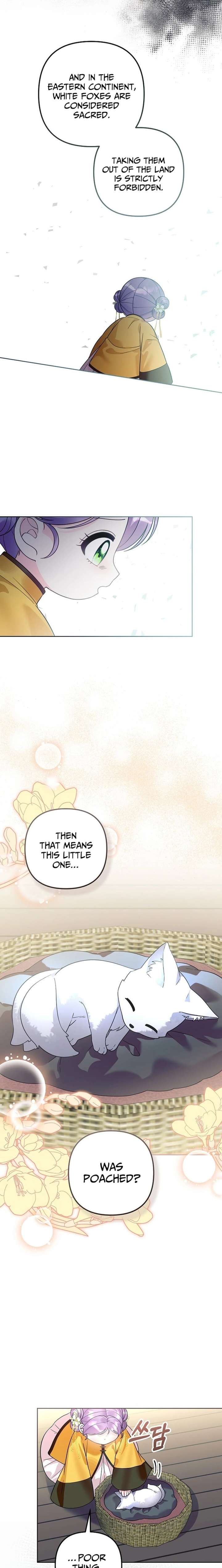 ch 41 2