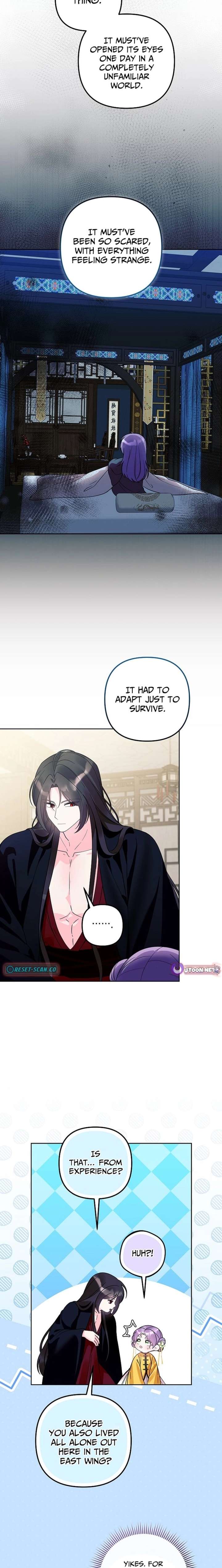 ch 41 3