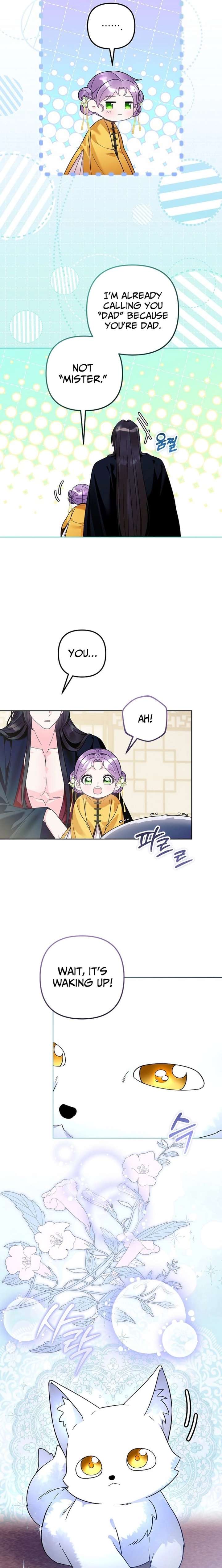 ch 41 6