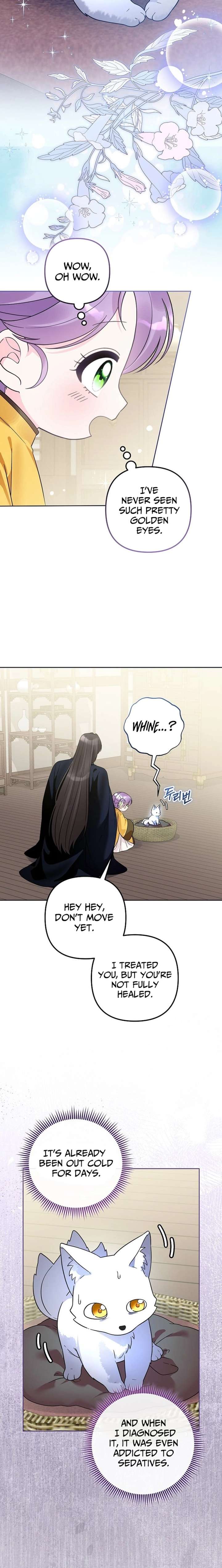 ch 41 7