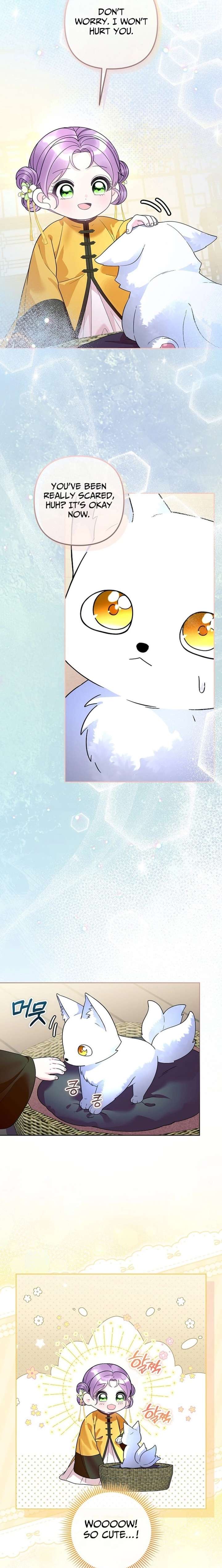 ch 41 9