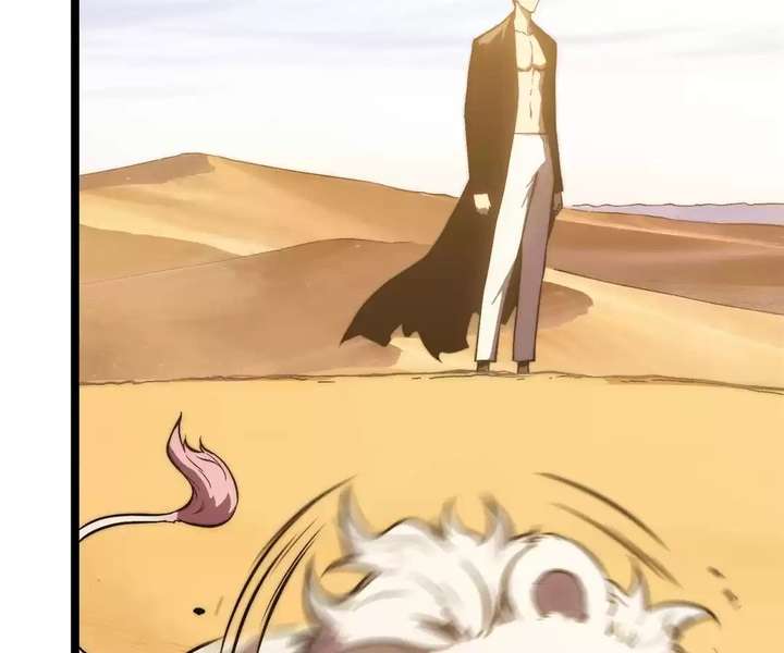 ch 23 210