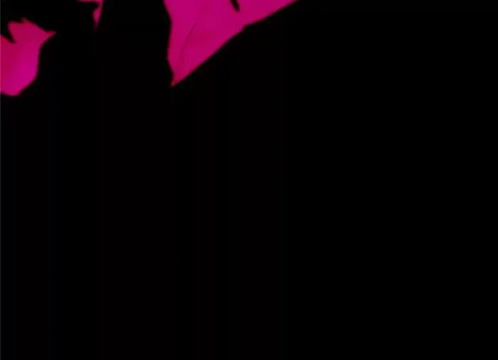 8d9c26880c11