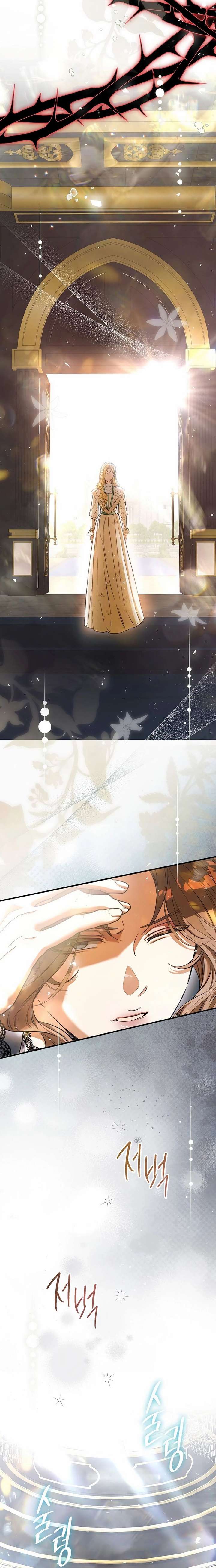 ch 29 8