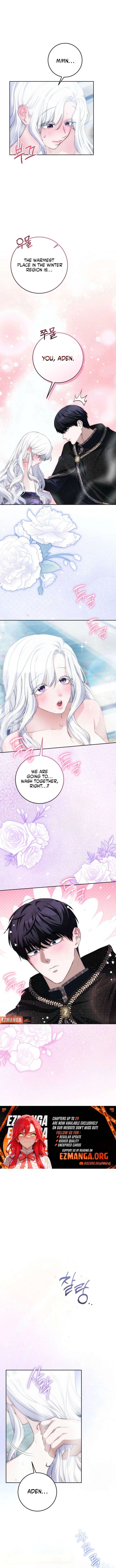 ch 27 5