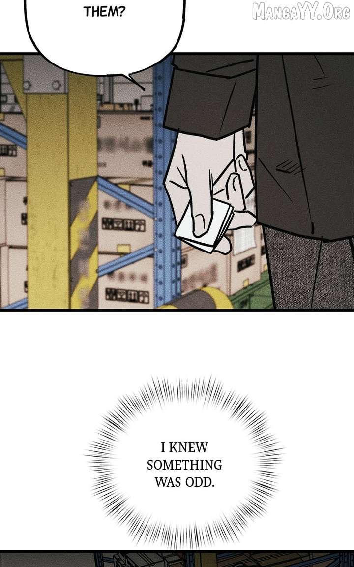 146