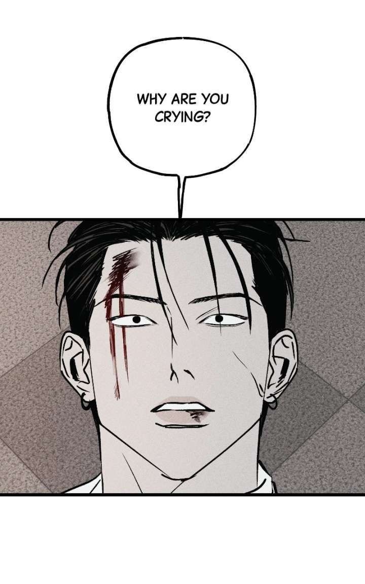 ch 27 114
