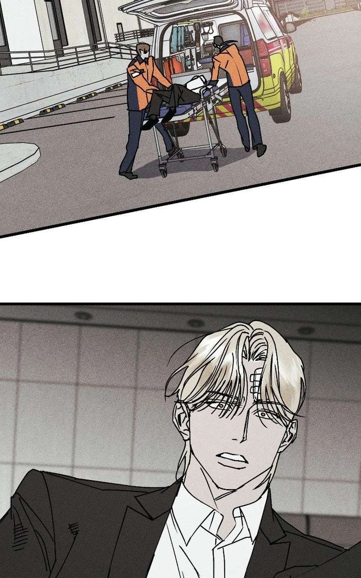 ch 28 15