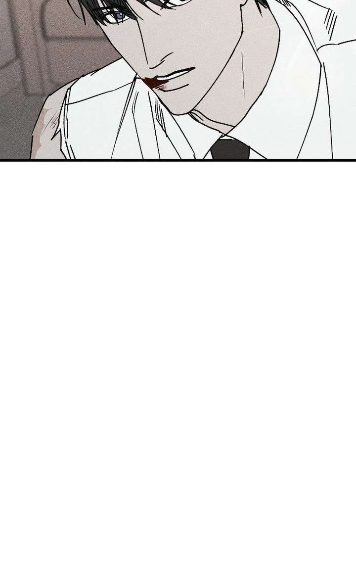 ch 28 29