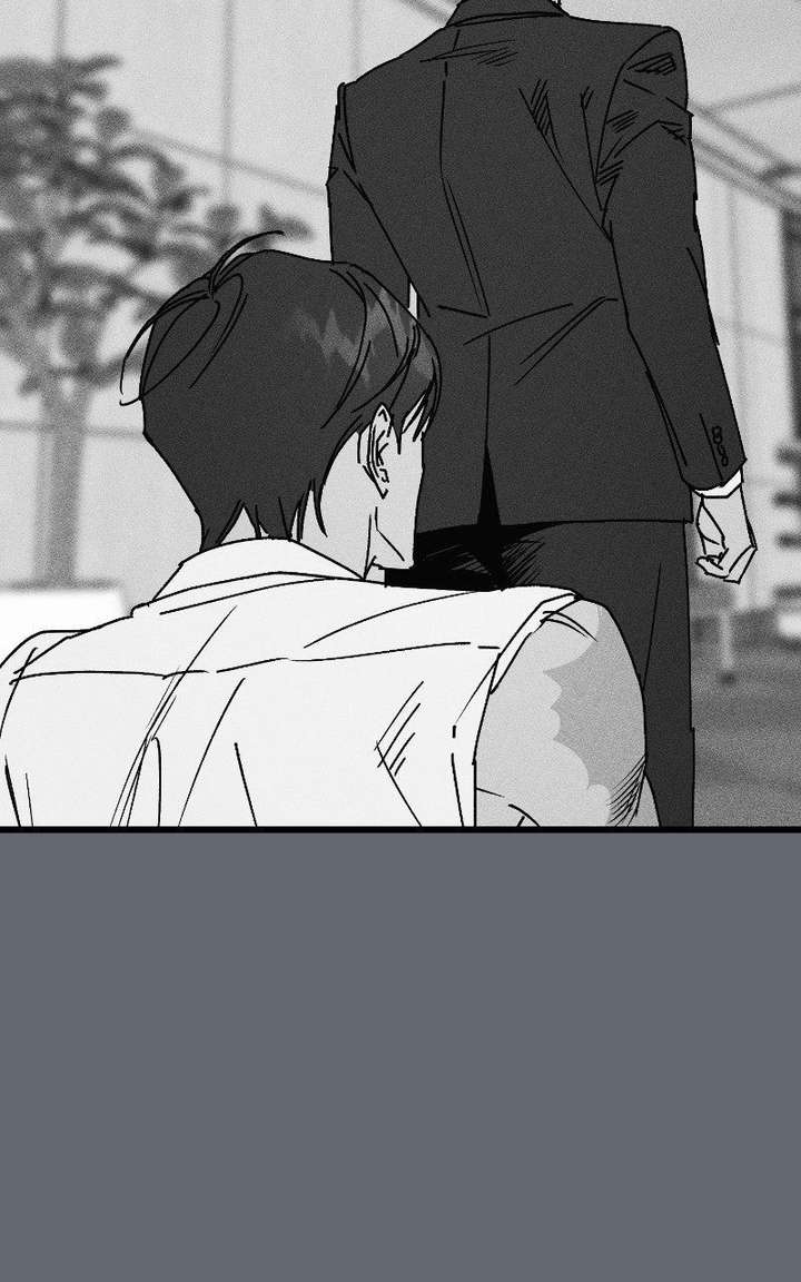 ch 29 81