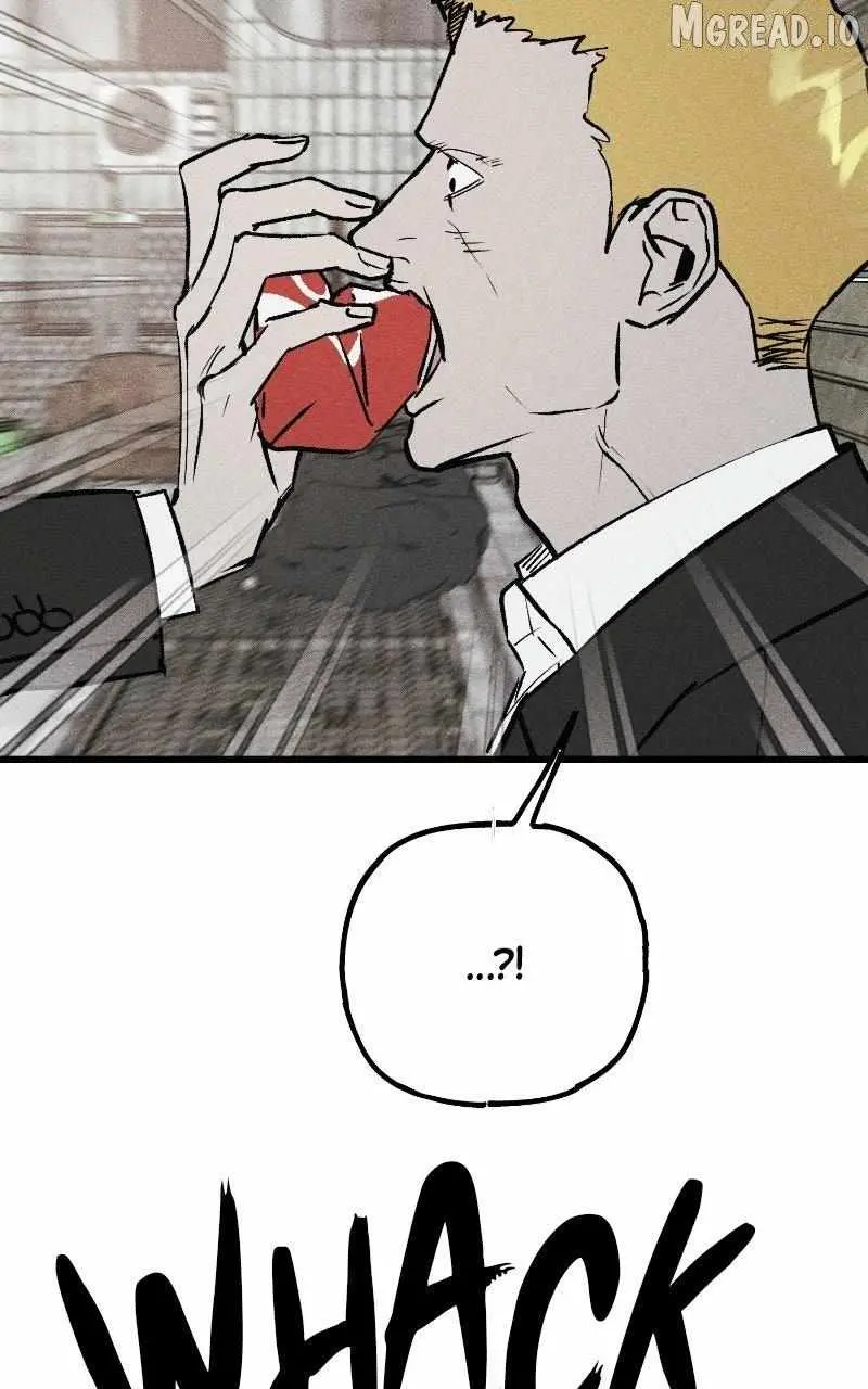 854e66668fe8