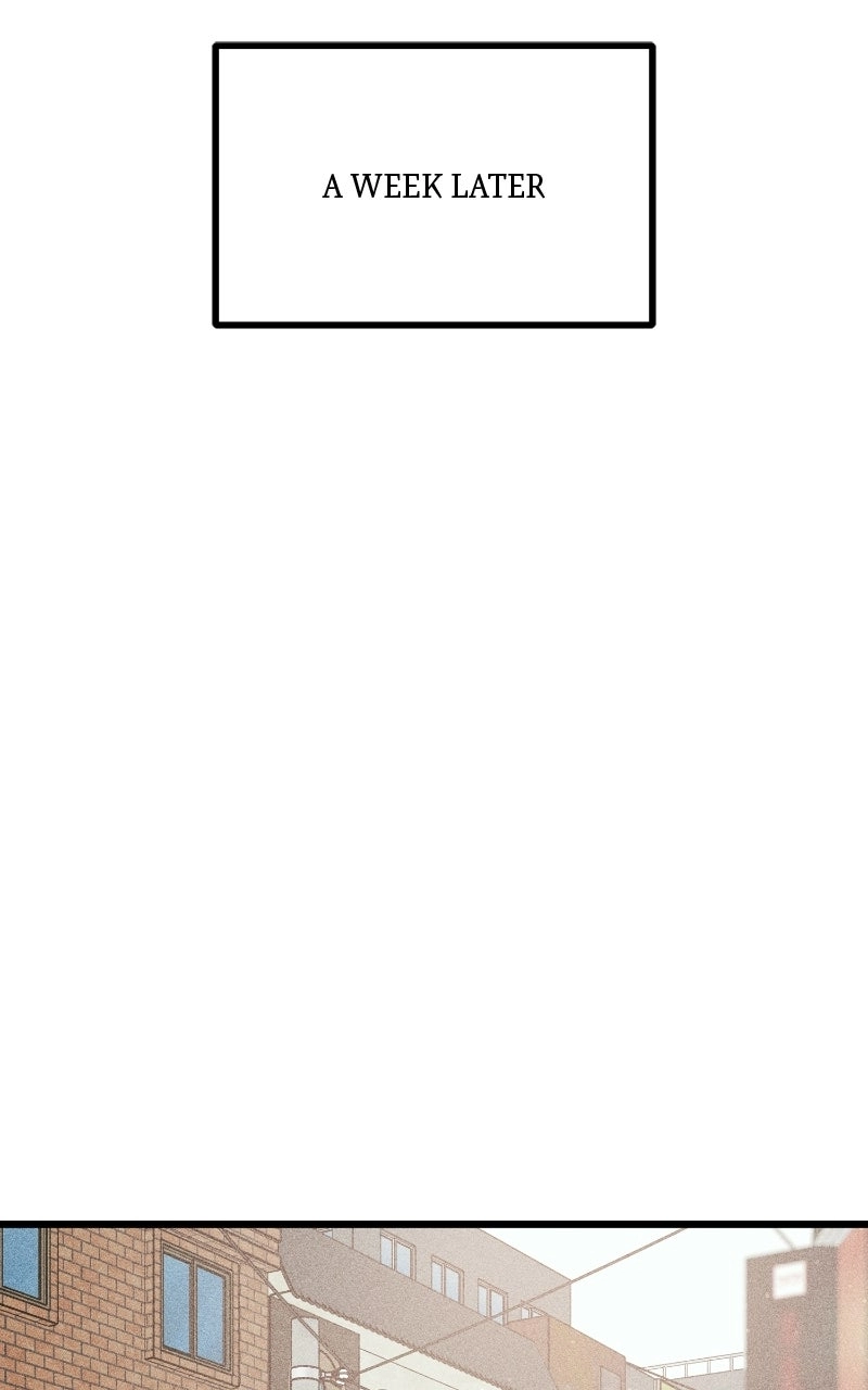 e83fcc37b956