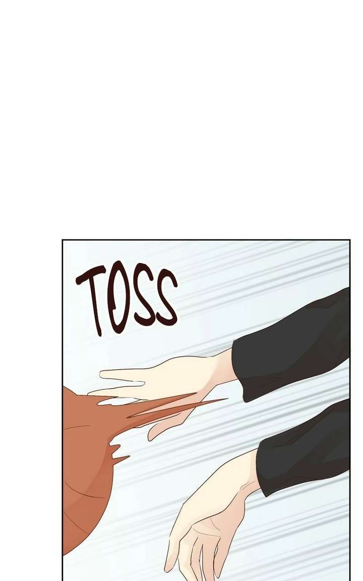 ch 24 21