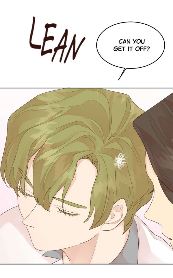ch 28 30