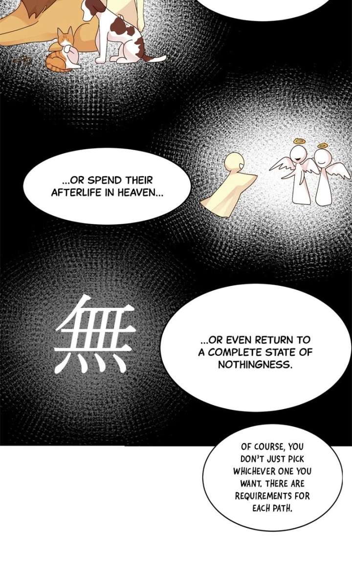 ch 30 61