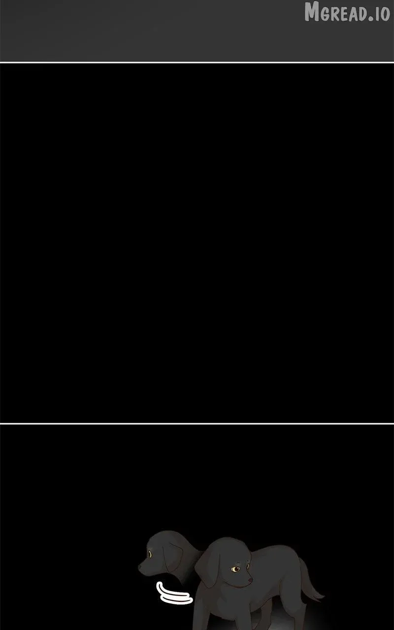 b062aa614b77