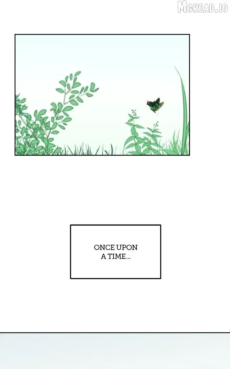 9174c8e95cbe