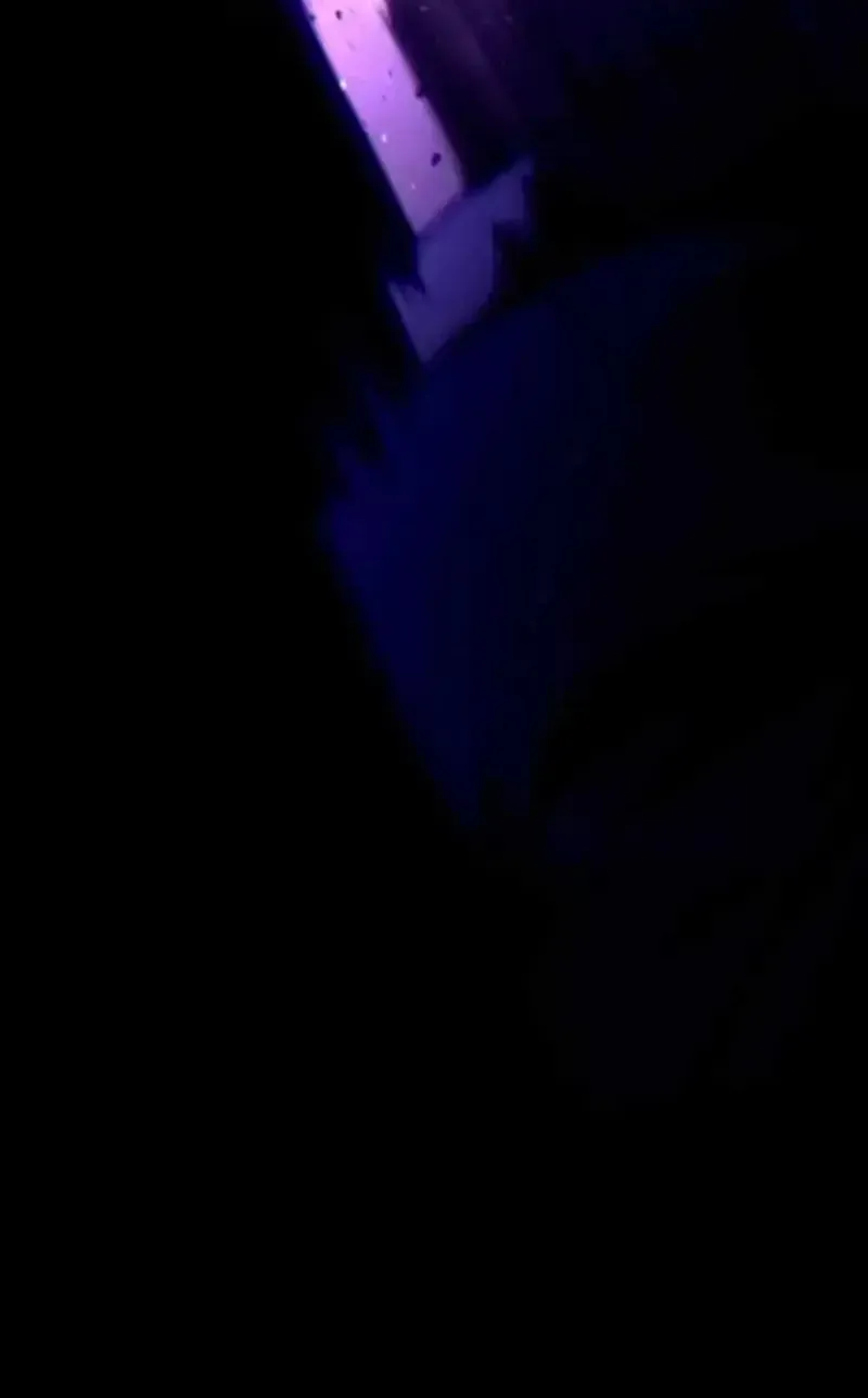 0c09ed0d8ad9